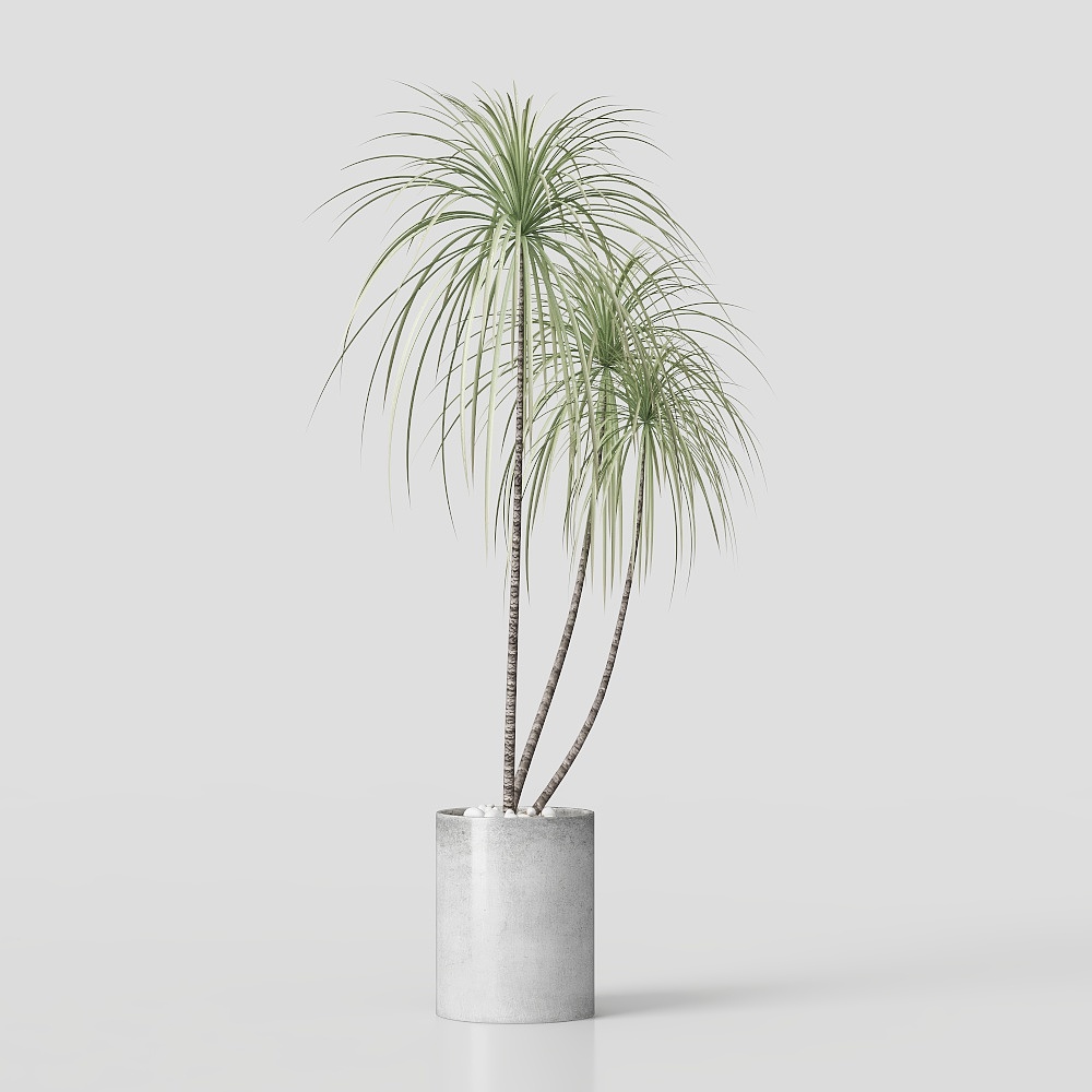 北欧スタイルの植物装飾