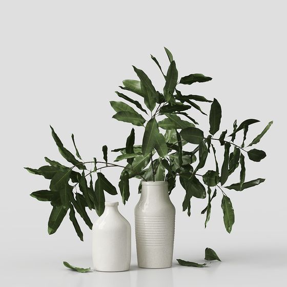 การตกแต่งพืชสไตล์นอร์ดิก