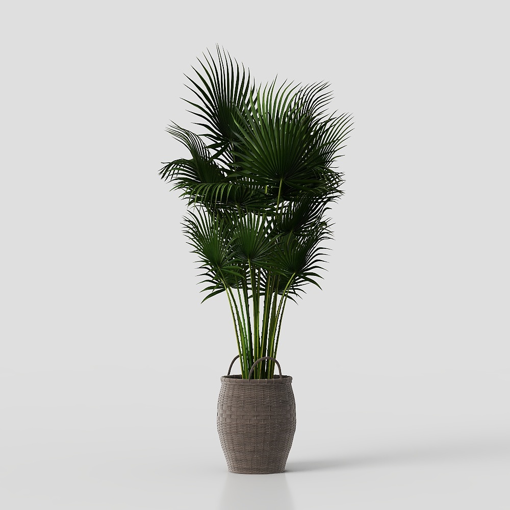 Nordic green plant ornaments