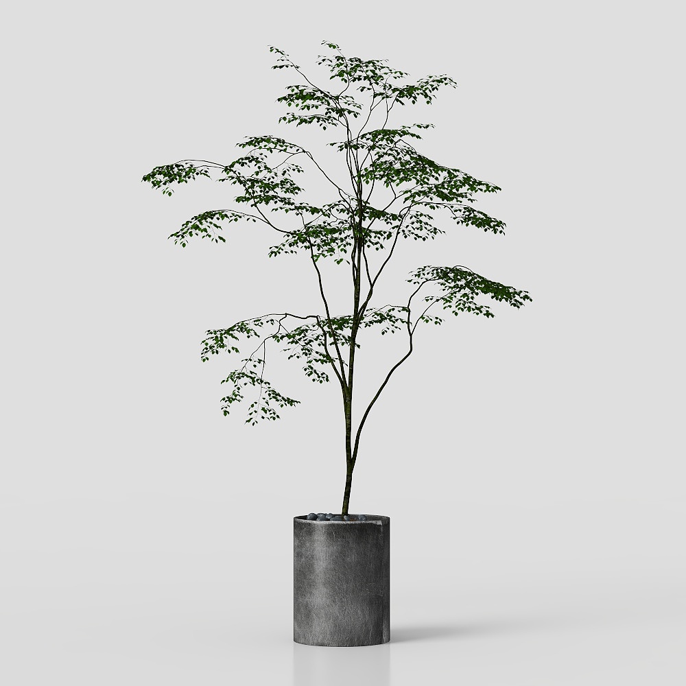 北欧スタイルの植物装飾