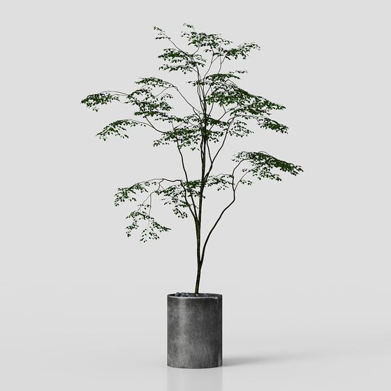 北欧スタイルの植物装飾