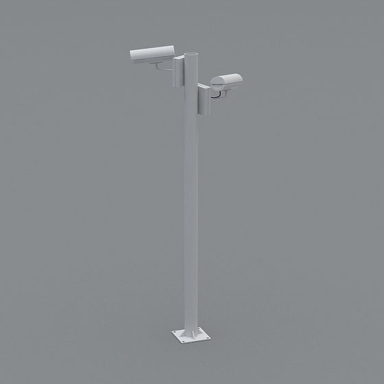 Dual Camera Surveillance Pole 3D model