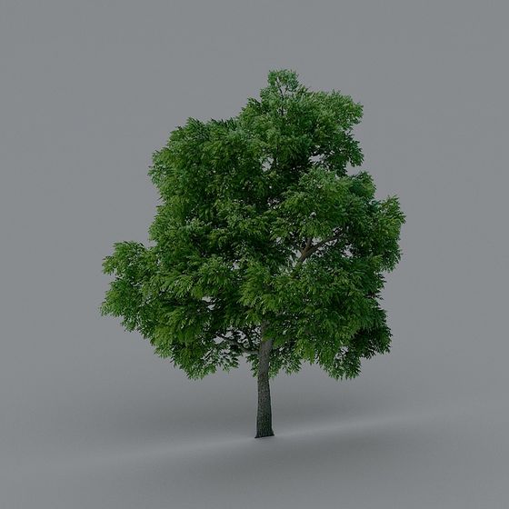 Realistic Low-Poly Oak Tree 3D model