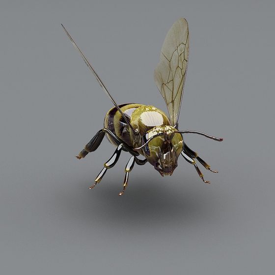 Realistic Bee 3D Model for Creative Projects