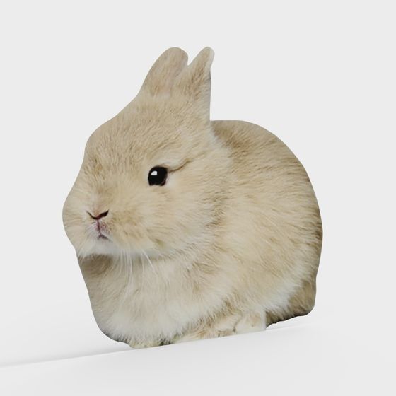 Hase 2D-Tier 001 Ostern