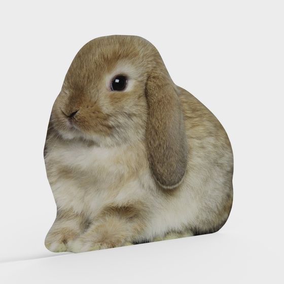 Realistic Lop-Eared Rabbit 3D model