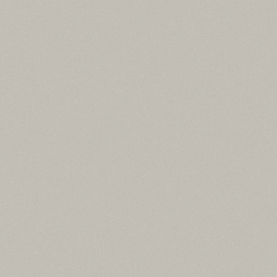 Earth Color T19-Fashion Elegant 3D Model