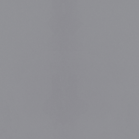 Delicate Gray Skin Wood Panel 3D Model