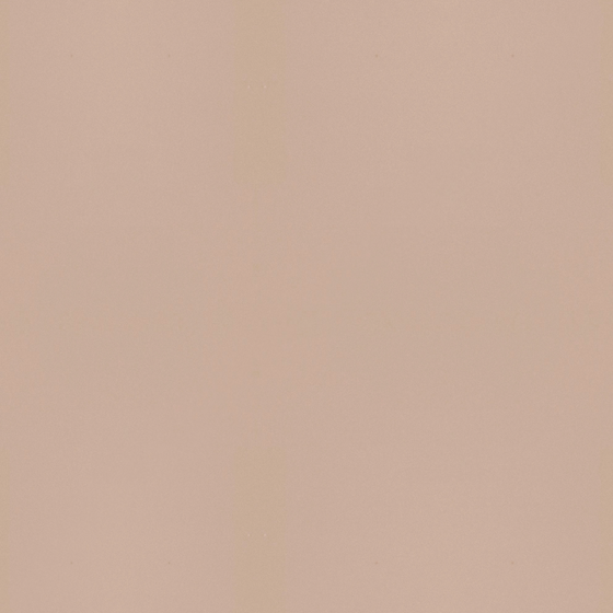 Earth Color Skin Sensation Powder 3D Model