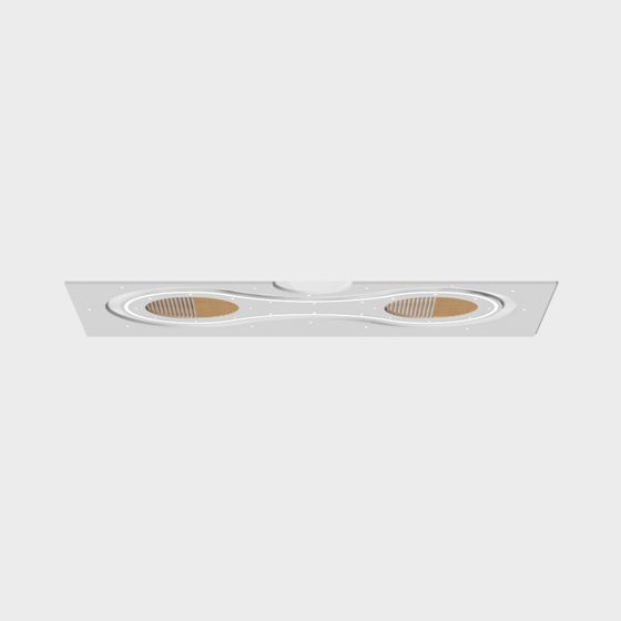 Dual Light Source Embedded Ceiling 3D Model