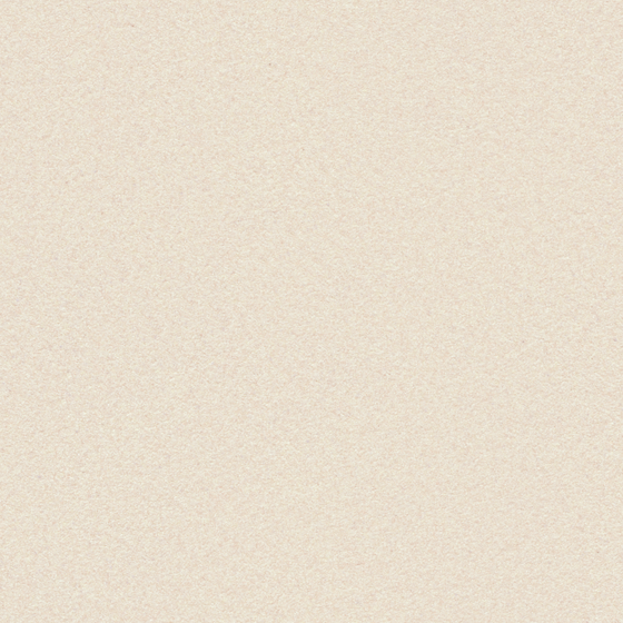 Beige Wall Paint/Paint 3D Model