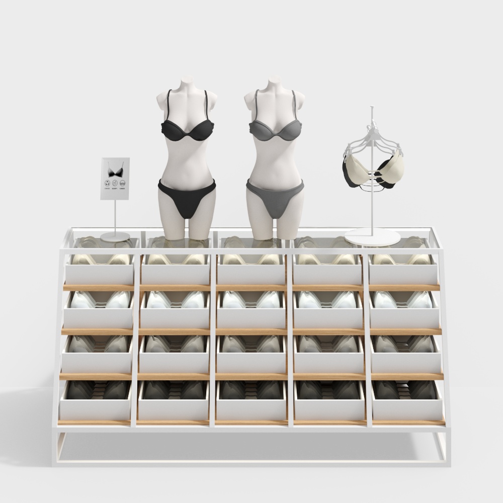 Minimalist Lingerie Display Cabinet 3D model