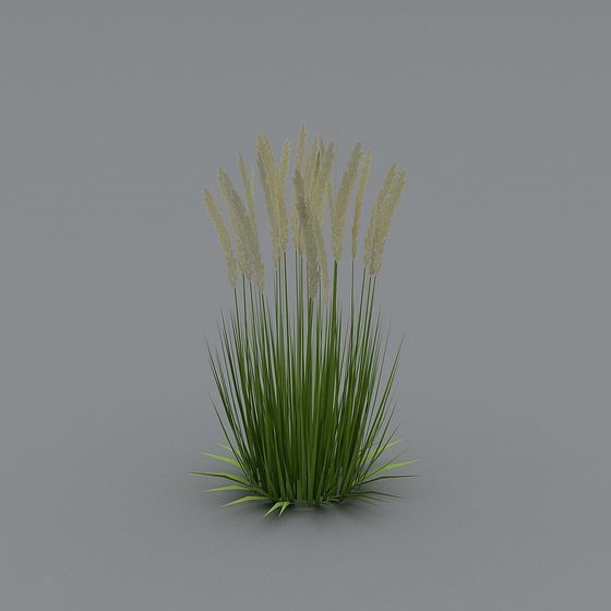 Lush Grassland 3D model