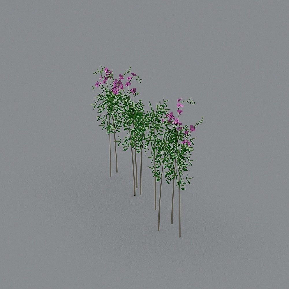 Elegant Low-Poly 3D Plant Models for Creative Projects