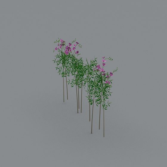 Elegant Low-Poly 3D Plant Models for Creative Projects