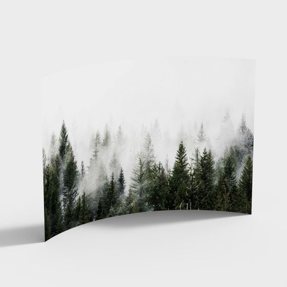 Morning Mist Pine Forest 3D model