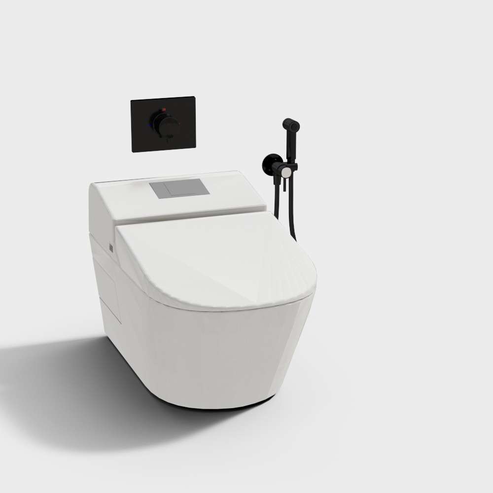 toilet hiện đại