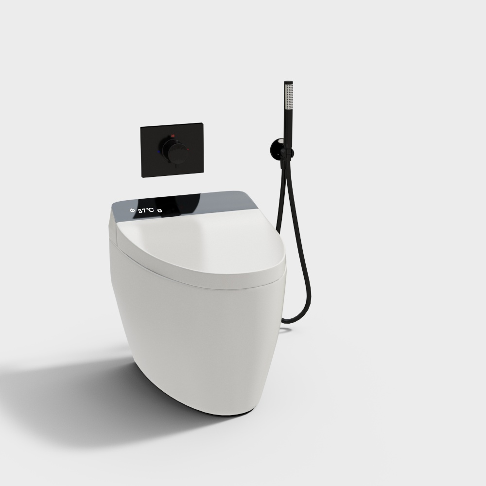 modern toilet
