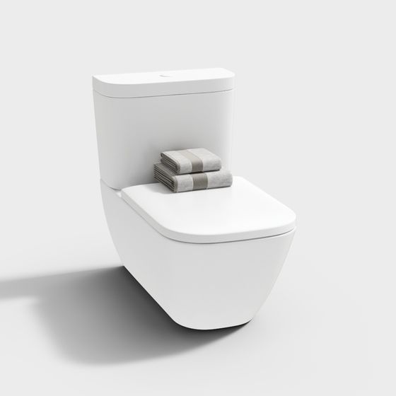 Bồn cầu phòng tắm hiện đại