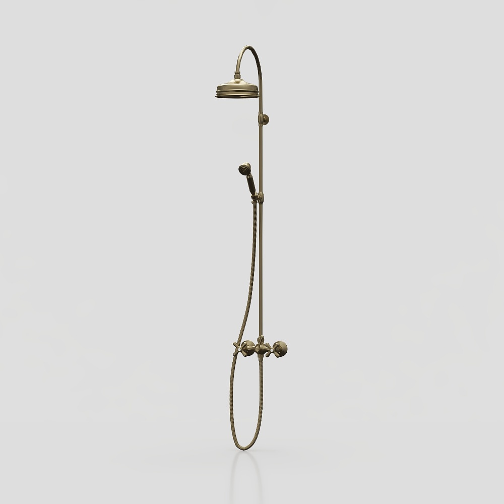 Pomme de douche classique en matériel de style européen