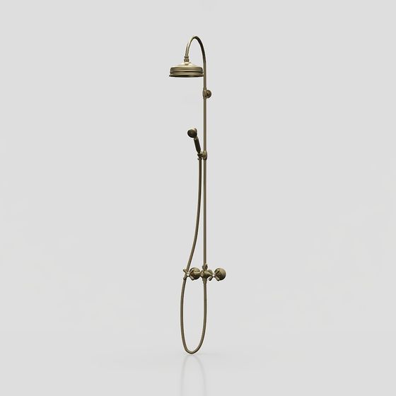 Pomme de douche classique en matériel de style européen