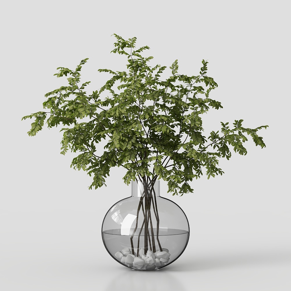 モダン観葉植物