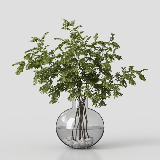 モダン観葉植物