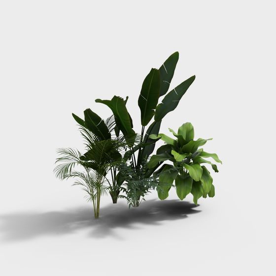 Pila de plantas para paisaje moderno