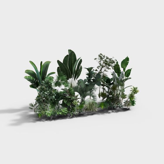 Jungle Garden 3D model