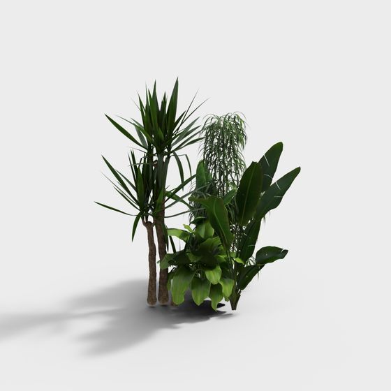 Tropical Plants Collection 3D Model for Creative Projects
