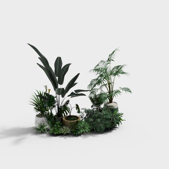 Tropical Garden 3D model