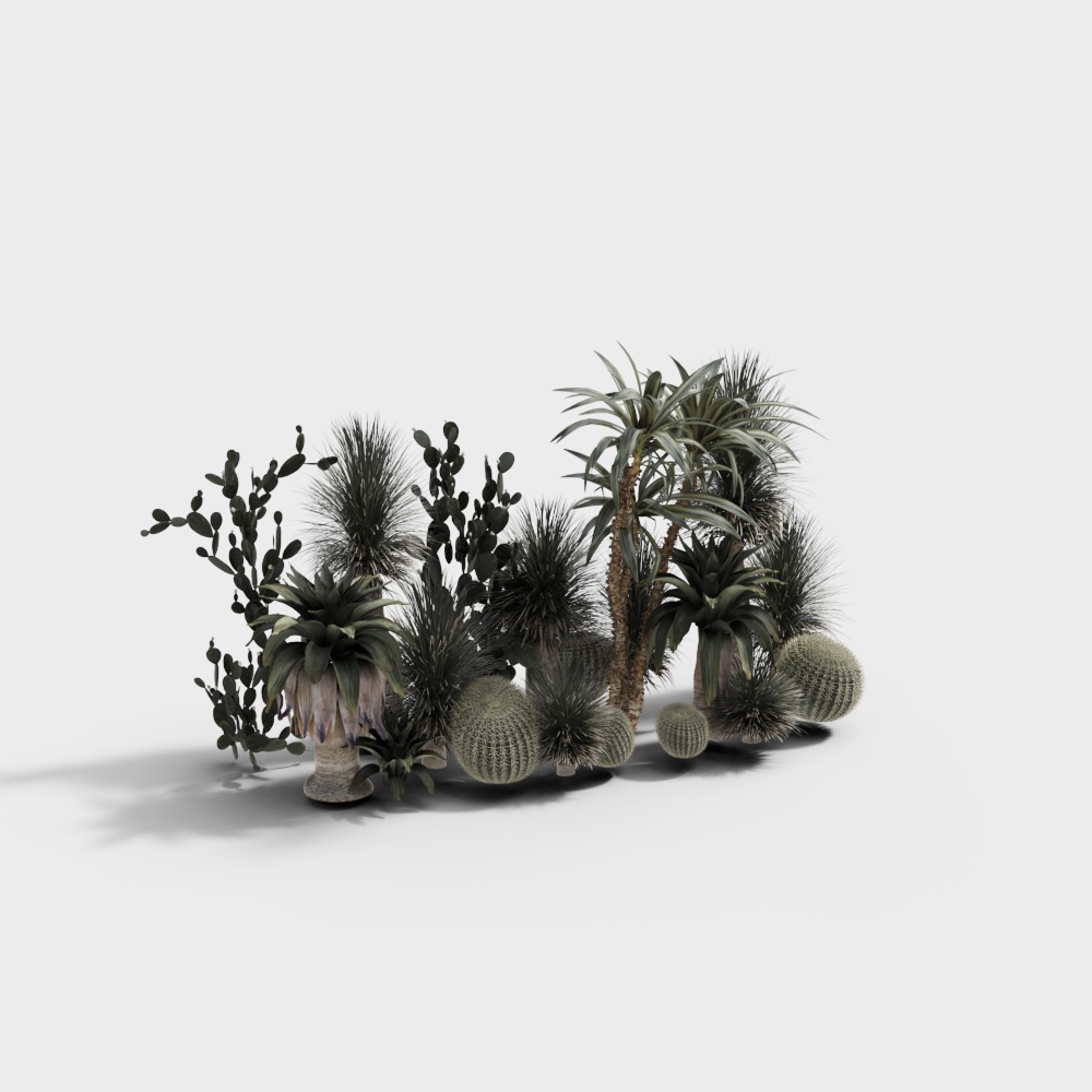 Cactus Garden 3D Model - Low Poly Art