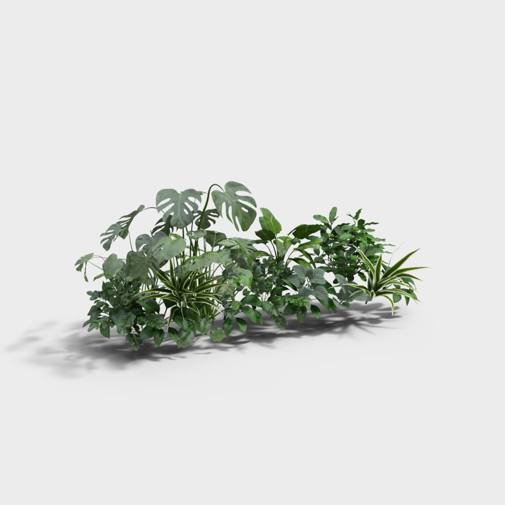 Modern plant pile