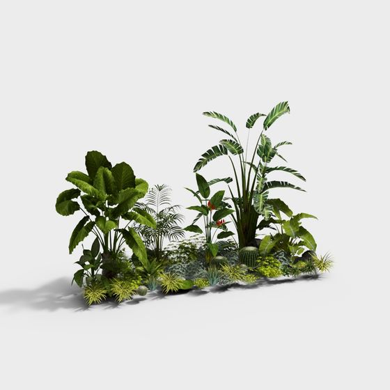 Tropical Jungle Garden 3D model