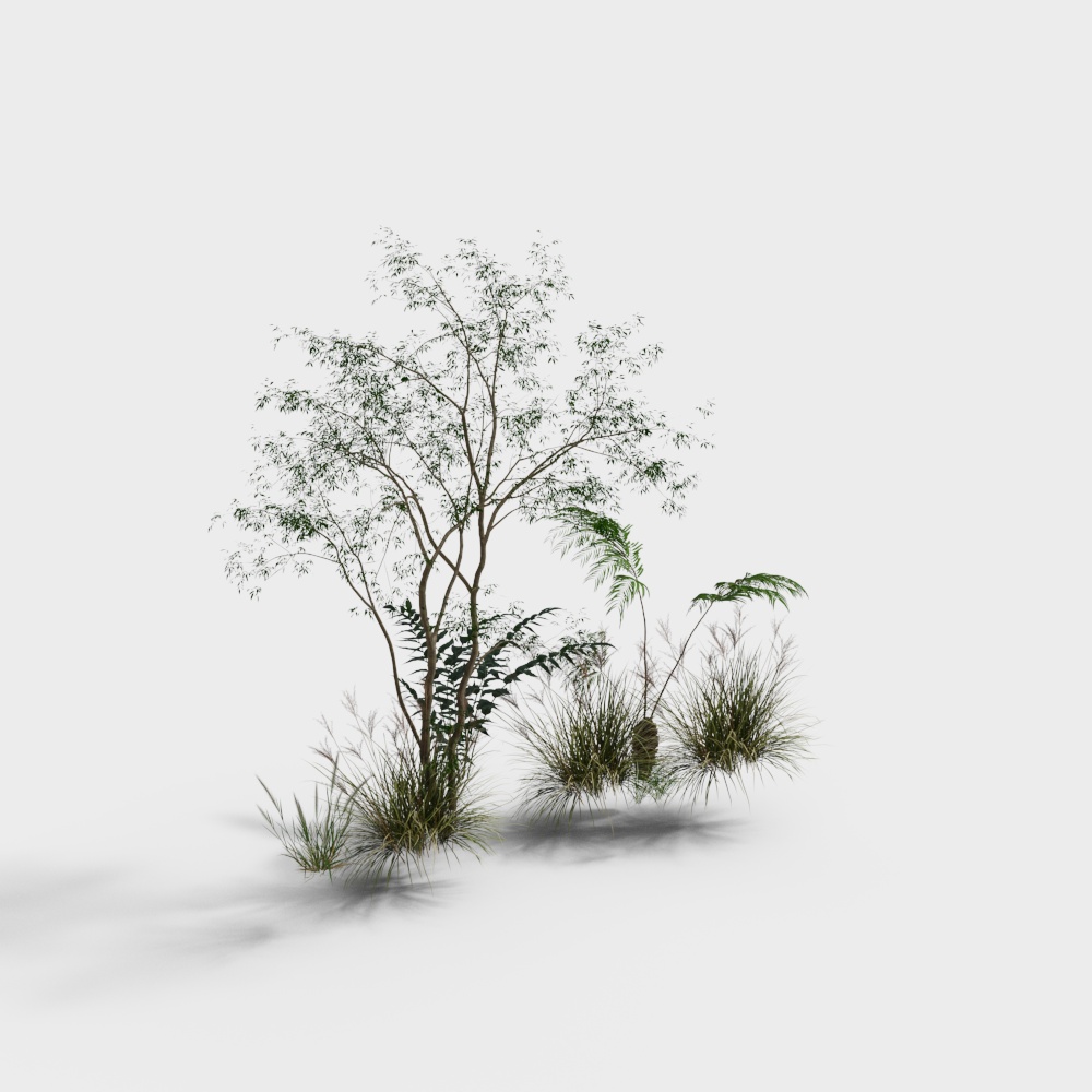 กองดอกไม้และพืช