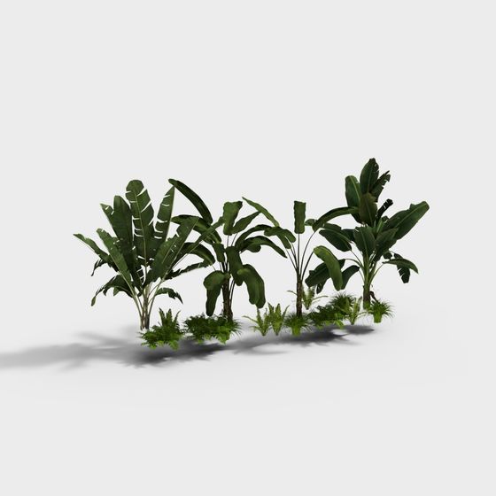 Tropical Jungle Plant Cluster 3D model