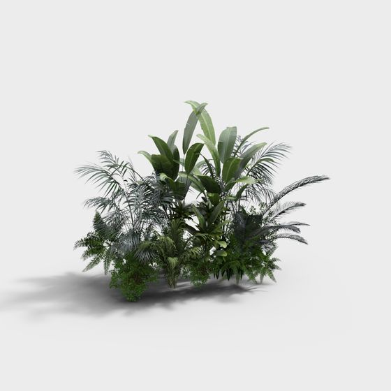 Tropical Jungle Plant Cluster 3D model