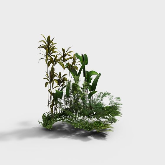 Tropical Plant Community 3D model