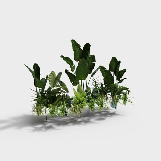 Tropical Jungle Plant Cluster 3D model