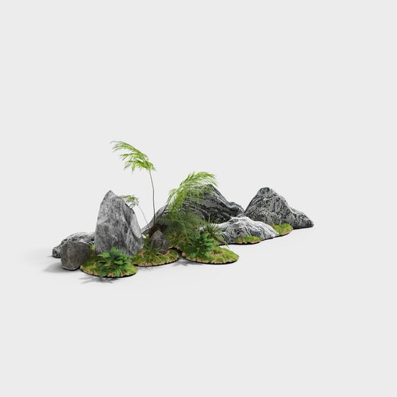 Rock and Ferns 3D model