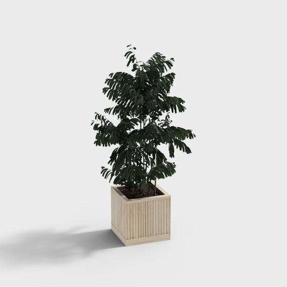 현대식 화분 나무 꽃침대 마당용