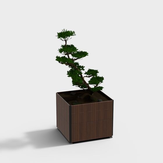Bonsai Garden Box 3D model