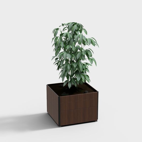 모던 야외 목재 화단