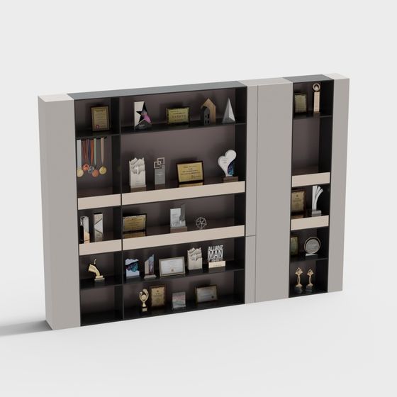 ตู้โชว์เหรียญรางวัล