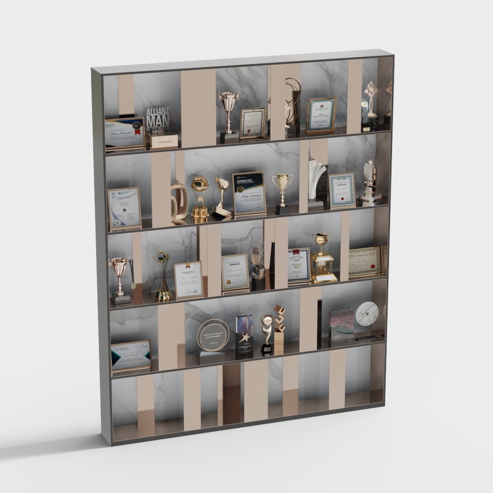 Medal and trophy display cabinet