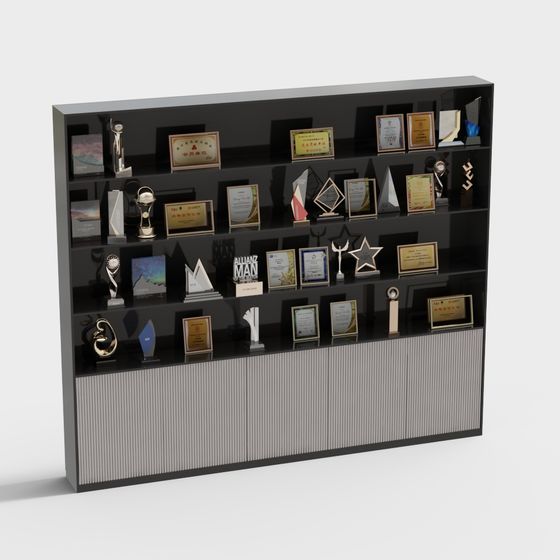 Honor Wall Display Cabinet 3D model