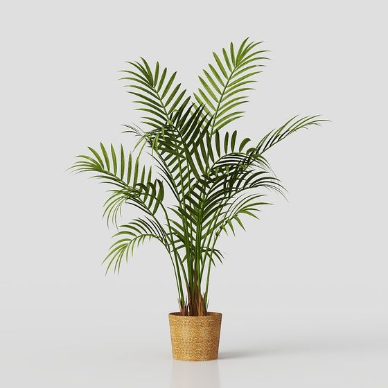 Stylish Indoor Plant 3D model for Creative Projects