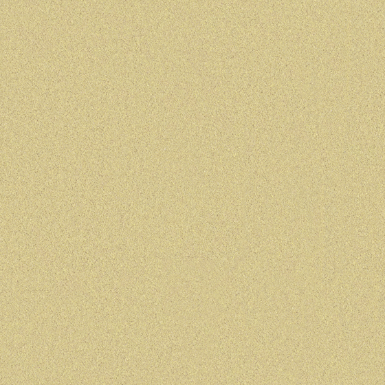 Wood Color Wall Paint 3D Model