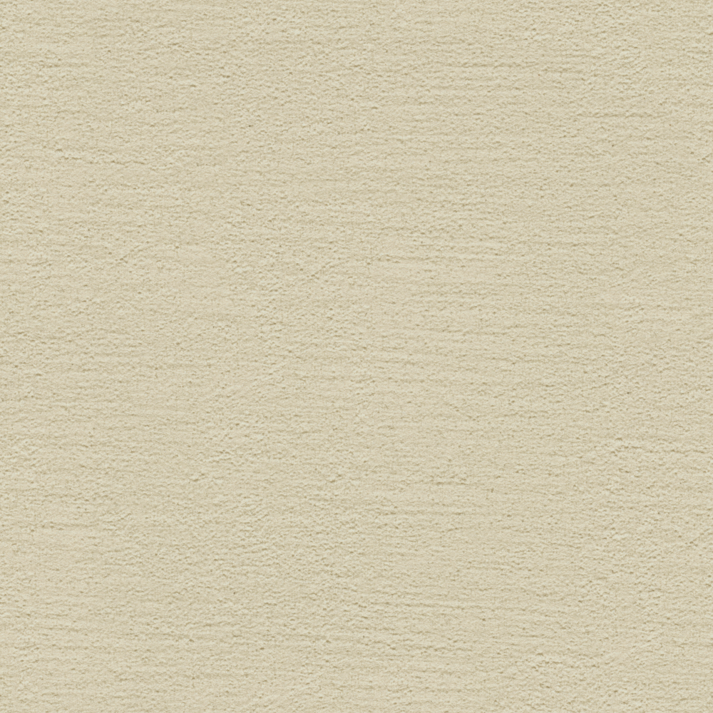 Wall paints/coatings