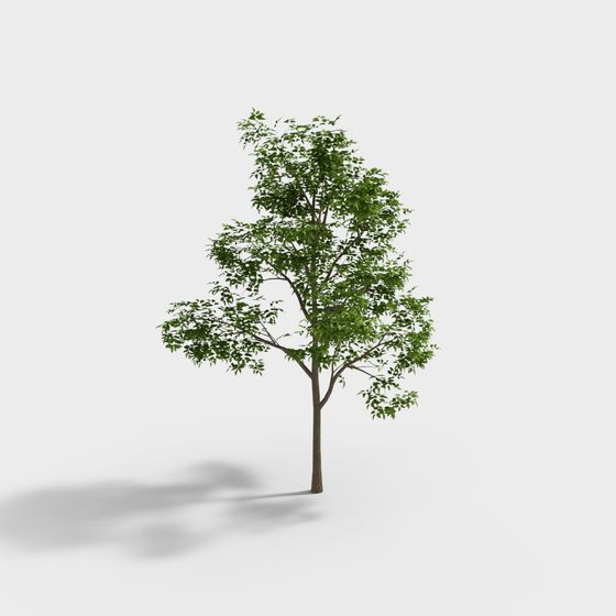 Realistic Low-Polygon Tree 3D model